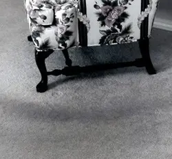 shading | Floor Dimensions