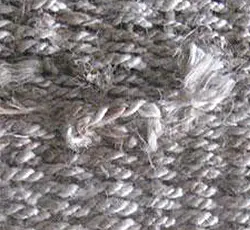 sprouting | Floor Dimensions